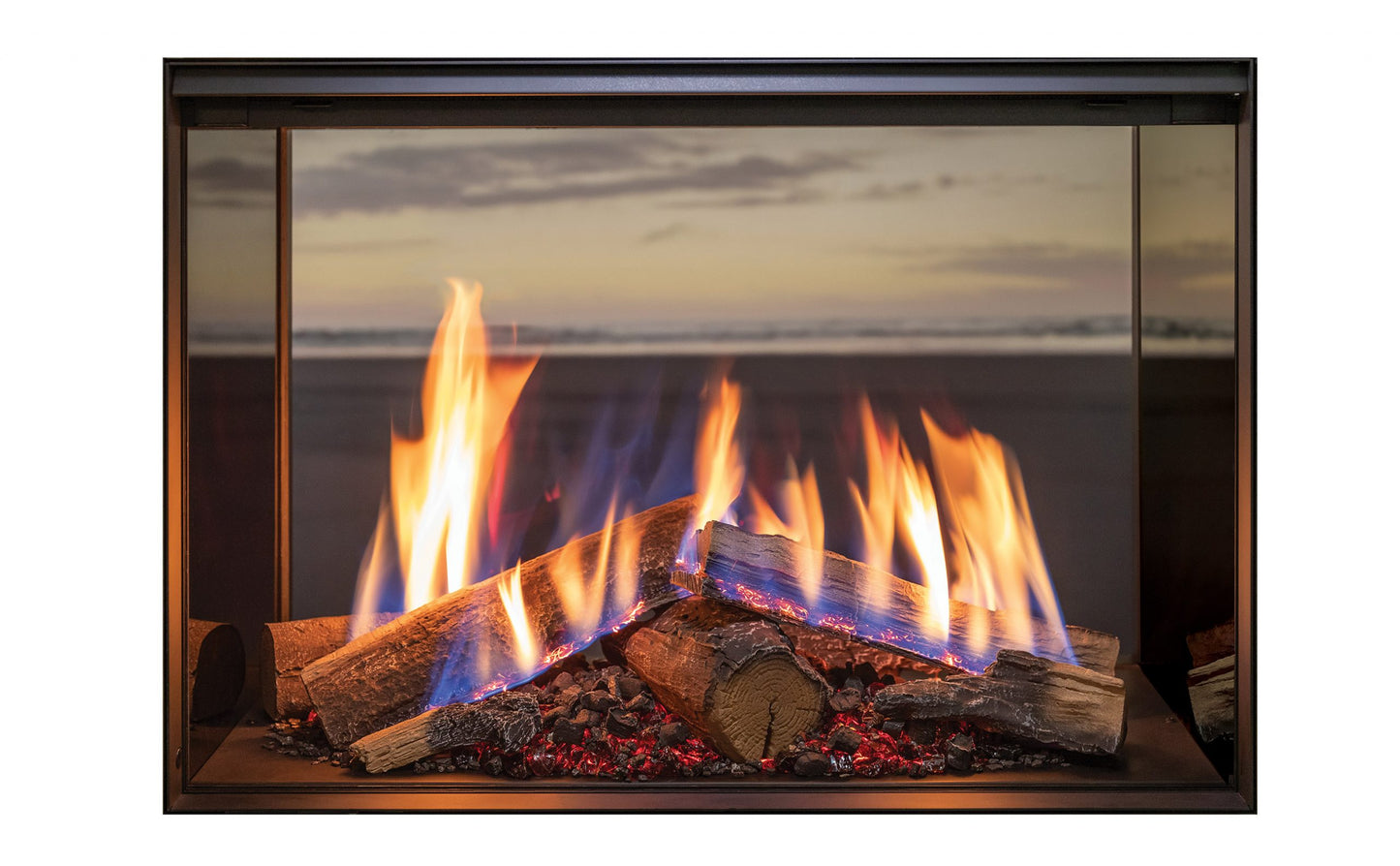 Rinnai - LS 800F Gas Fire - Single sided